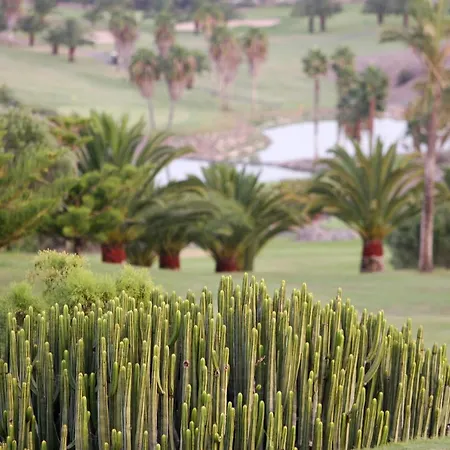 Vista Golf 30 By Villagrancanaria Villa