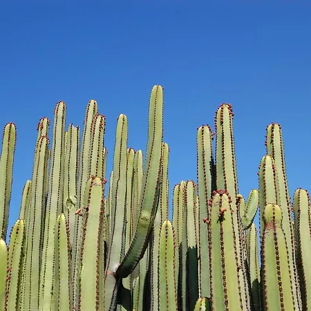 Vista Golf 30 By Villagrancanaria *